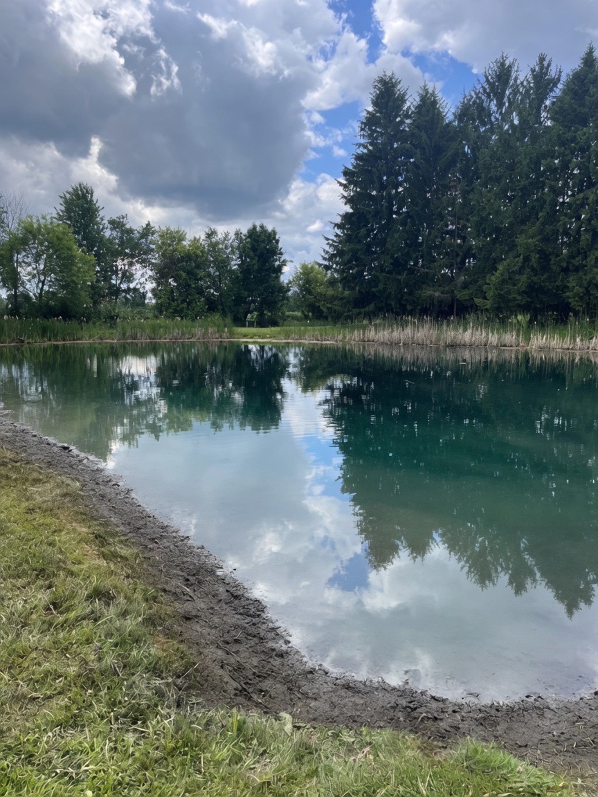 After cleaning: restored shoreline after algae and muck removal